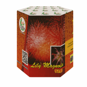 Torta Lilly Magnolia 19s